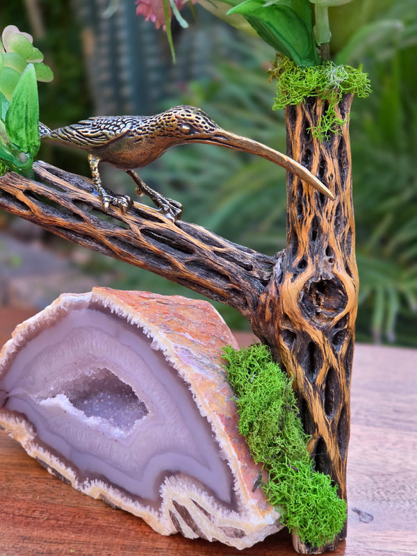 Cholla Branch, Brass Hummingbird, Agate Geode, and Succulents