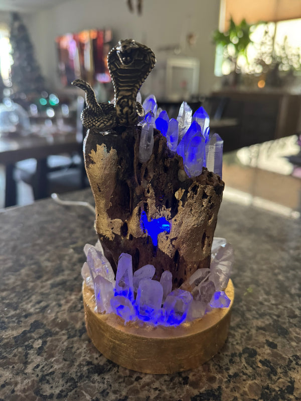 Cholla root, Snake, Crystal with lights